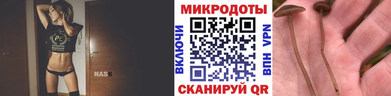 Галлюциногенные грибы Psilocybe omg ссылки Знаменск