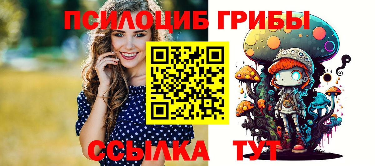 Знаменск  Галлюциногенные грибы мицелий  Вход с VPN 