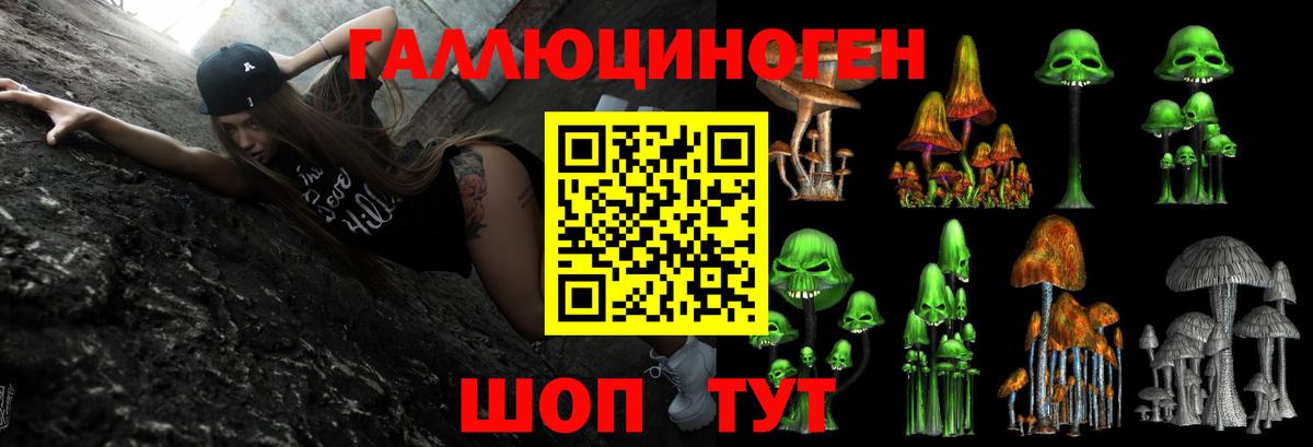 Псилоцибиновые грибы прущие грибы Знаменск